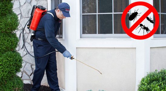Çeşmealtı Karınca İlaçlama böcek ilaçlama ve haşere kontrolü — ilaclama-tr.com